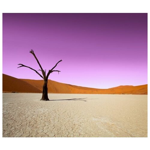       (Tree in the desert) 2 58. x 50. 2200