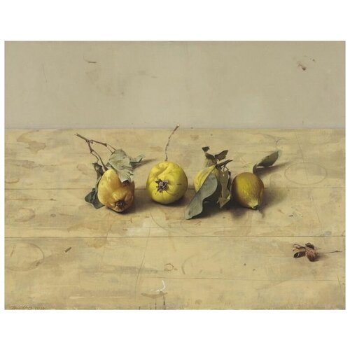     (Still-life) 30   51. x 40. 1750