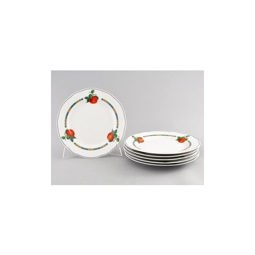 ����� ������� ��������� 25 �� �� 6 ������, ���� ��� ��������� ��� 03160115-080H, Leander 4860�
