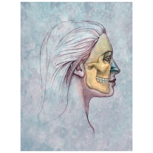      (Skull bones) 50. x 67. 2470