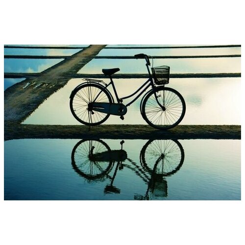     (Bicycle) 3 46. x 30. 1350