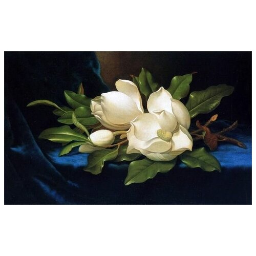        (Giant Magnolias on a Blue Velvet Cloth)    48. x 30. 1410
