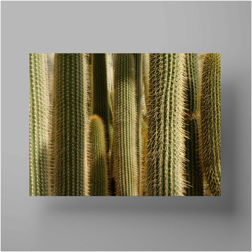  , Cactus 30x40 ,     590