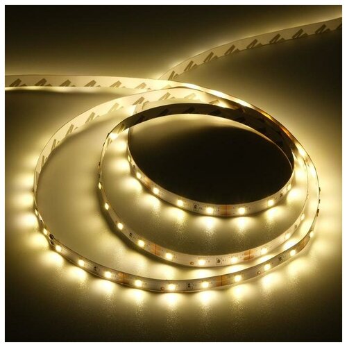    Ecola PRO 5 , IP20, SMD2835, 60 LED/, 8 /, 12 , 2800,  960   