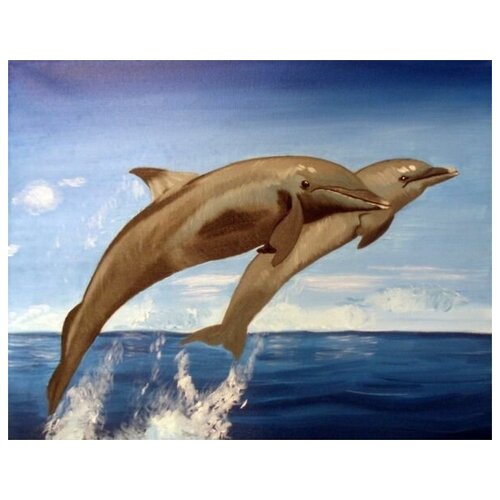     (Dolphins) 1 64. x 50. 2370
