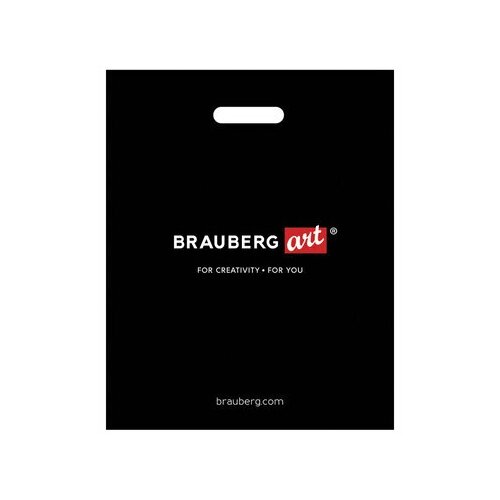  - BRAUBERG ART, 3240 ,  , 505500 28