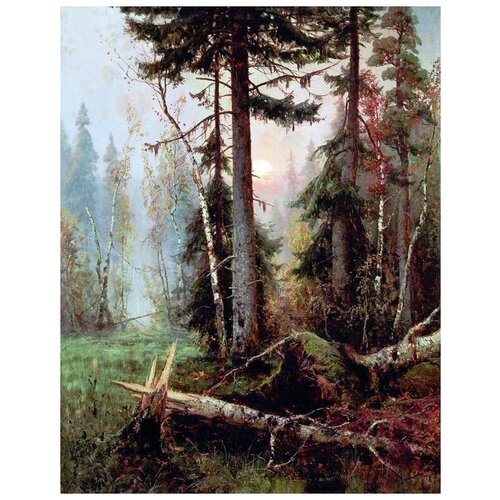     (Wilds)   40. x 51. 1750