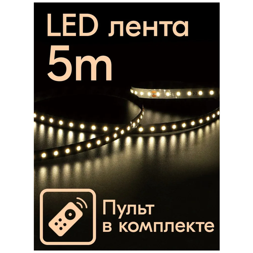  LED     979