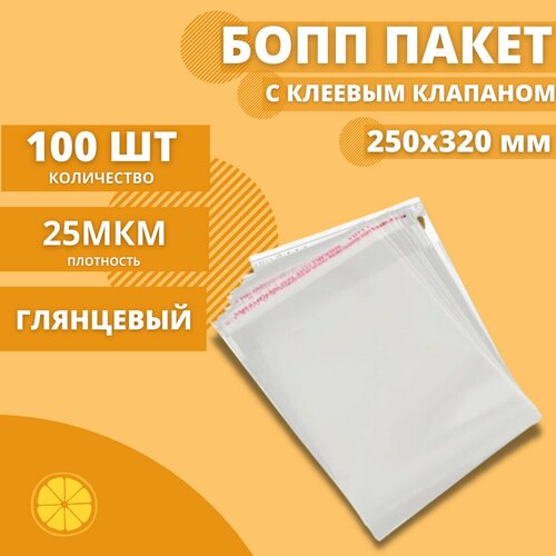 ������ ���������� � ������� �������� 250*320+30��. 25 ���. (100 ��.) 434�