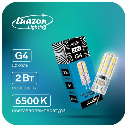  Luazon Lighting, G4, 2 , 220 , 6500 K, 160  190