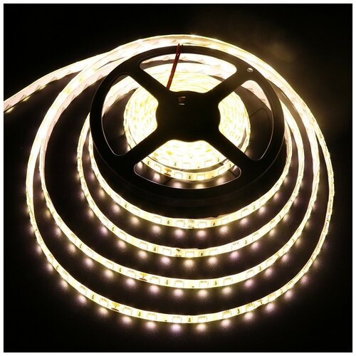  : SMD5050-60LED-IP65-24 5. -  :  3000-3500K 2900