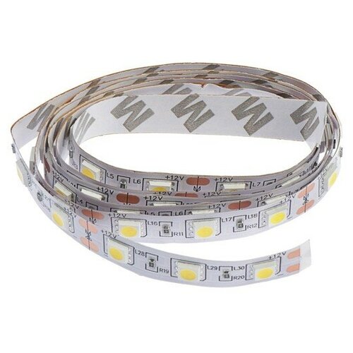    Ecola 1 , IP20, SMD5050, 60 LED/, 14.4 /, 12 , 4200,  194  Ecola