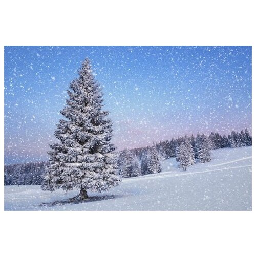     (Winter fir) 75. x 50. 2690