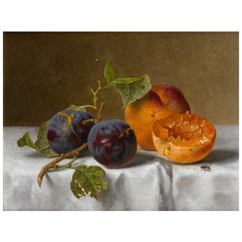     (Peaches) 4   66. x 50. 2420
