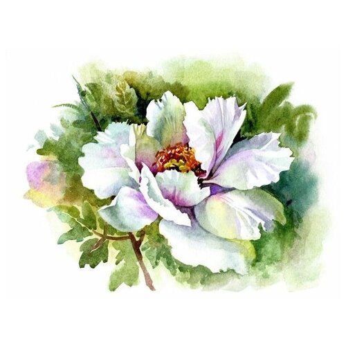       (White flower) 3 57. x 50.,  2190   