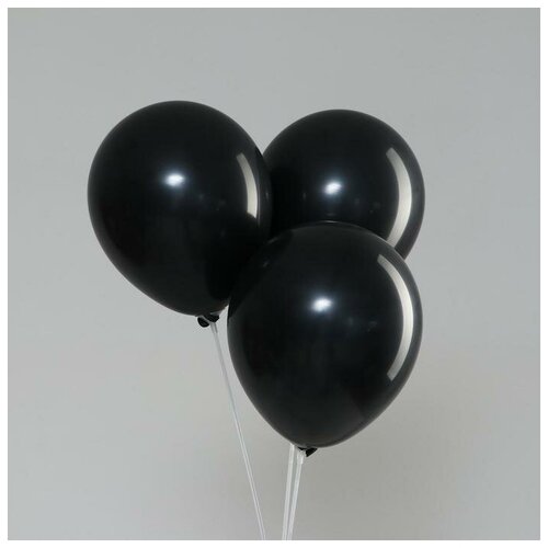 ��� ��������� 12