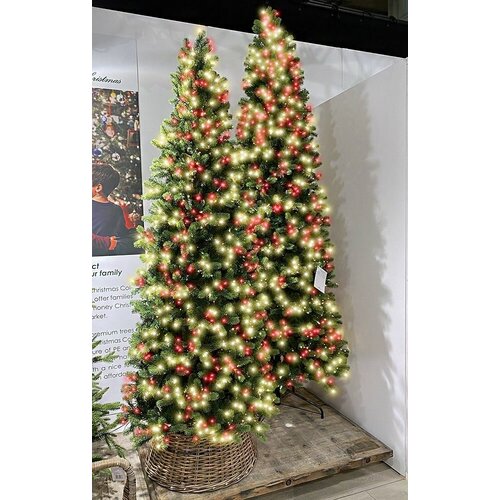     (  PE+PVC), , 2550 /  LED-, 2.74 , A Perfect Christmas 31GEOR274DL 59915