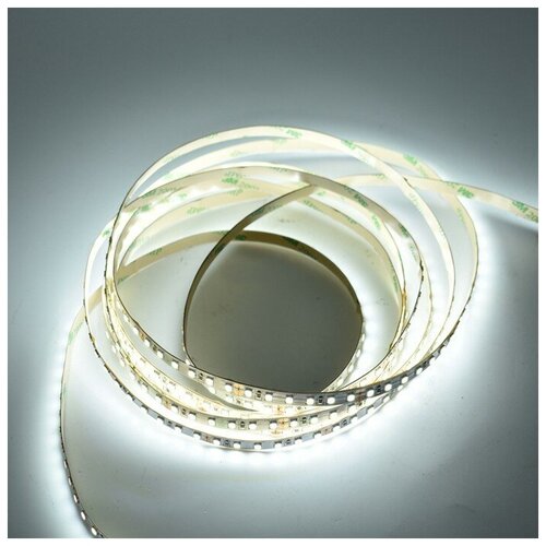    SMD 2835, 120 /, 12 , IP33 5. -  :  6000,  2200  Clever-light