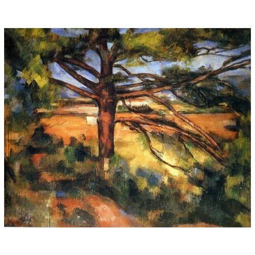       (Grand Pin made of Aix-en-Provence)   62. x 50. 2320