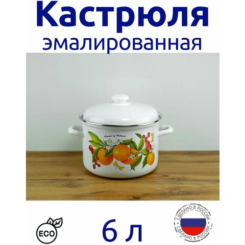�������� ������������� 6 � ,����� � �������� 1555�