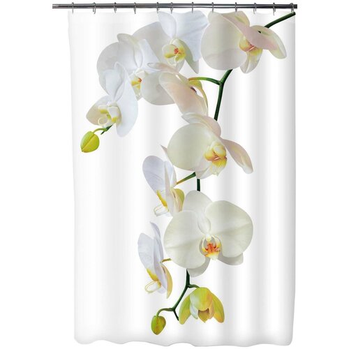 ����� ��� ���� 180�200 ��������� ����� �/� � ������� ,��������,������� CURTAIN 1626�