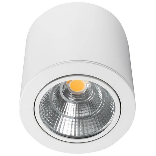   Arlight SP-FOCUS-R140-30W Day White 021428 6925