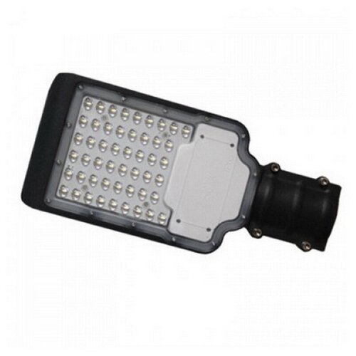     Foton Lighting FL-LED STREET-01 30 6500   34613055 d55 IP65 220-240,  1345  Foton Lighting