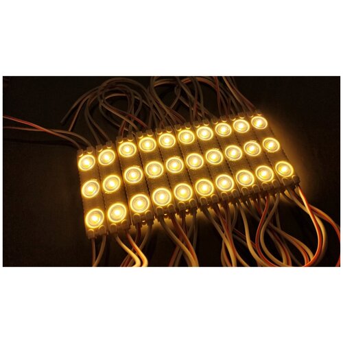     SMD 2835, 3 LED, 12 , 1.5 , 105-110, IP65,   (3000),  590  63