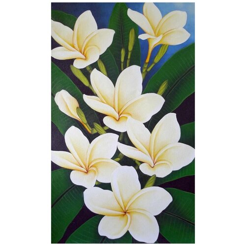     (Lilies) 1 30. x 50. 1430