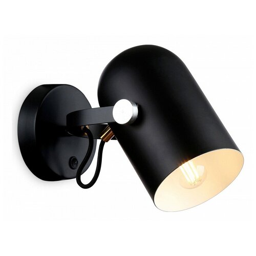  Ambrella Light Traditional TR8204 3639