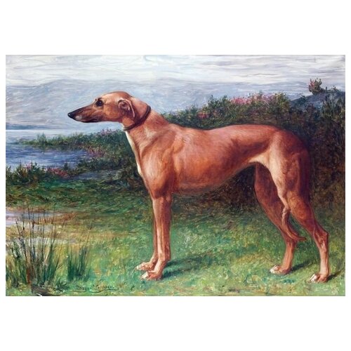     (Dog) 5 56. x 40. 1870