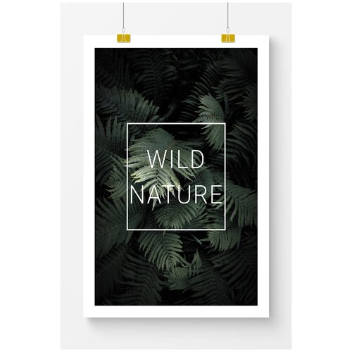      Postermarkt Wild nature,  6090 ,       2159