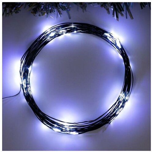   5  , IP20,  , 50 LED,  , 2 , AA3 322