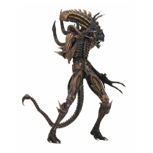  Neca  Alien  Scorpion ,  3499  NECA
