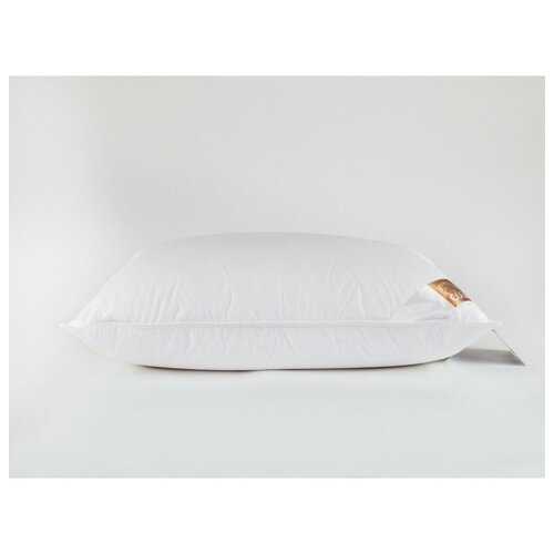  Natur Downfil Pillow 5070  27038