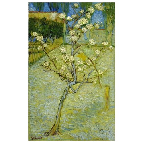         (Small Pear Tree in Blossom)    40. x 64. 2060