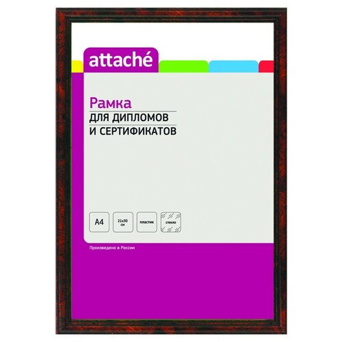  4(2130)ATTACHE  ,   598