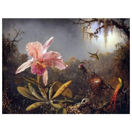        (Cattleya Orchid and Three Brazilian Hummingbirds)    67. x 50. 2470
