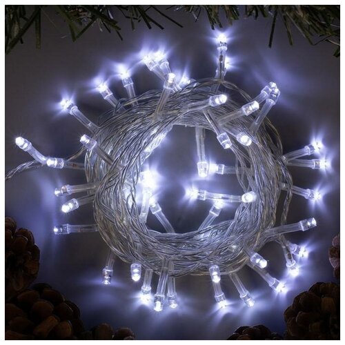   5 , IP20,  , 50 LED,  , 8 , 220  453