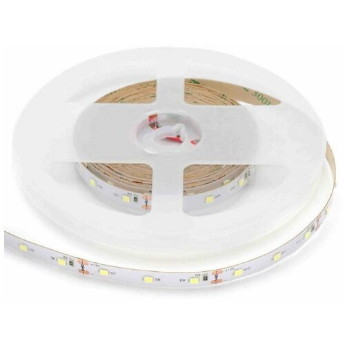    00-55-1   12,      6500K,     900 / / 60/ / 9.6/ / smd2835 / IP20 /   5  856