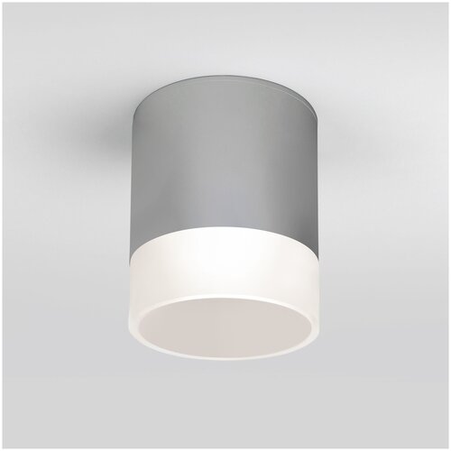    Elektrostandard Light LED 2107 IP54 35140/H  4420