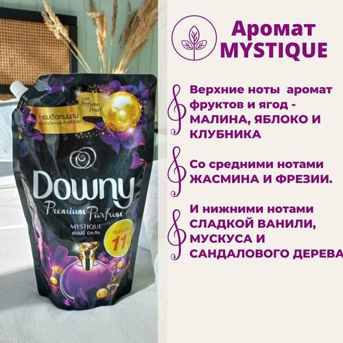     MYSTIQUE  DOWNY, 1000 1796