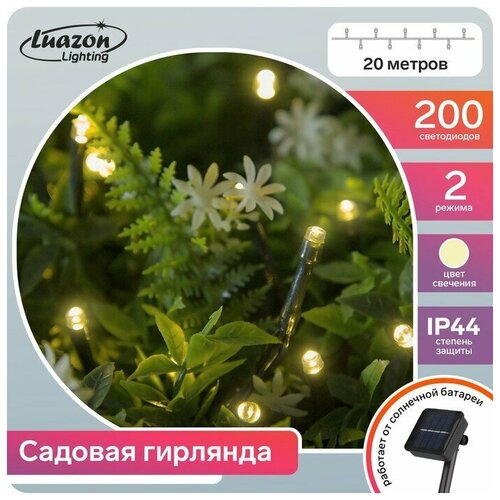 �������� ������ 20 �, ����� ����, 200 LED, �������� ����� �����, 2 ������, ��������� ������� 1280�