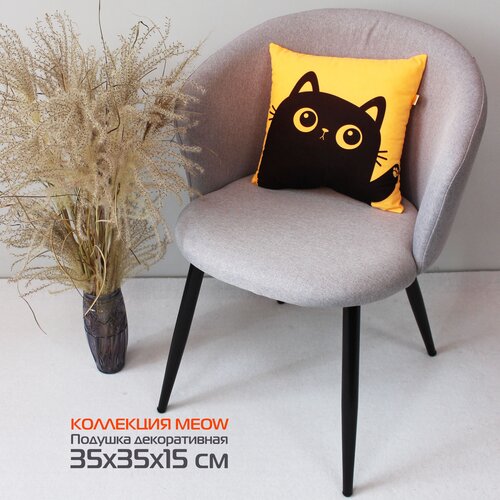   MEOW LINE. SPIDER 35*35*15.  , . 310