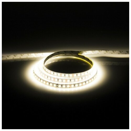    TruEnergy, 12, Smd2835, 5 , Ip20, 9.6 /, 120 LED/, 6000K TruEnergy 9803200,  623  SWGroup