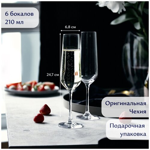 ������ ��� ����������� 6 �� 210 ��, ����, Queen of Bohemia 2010�