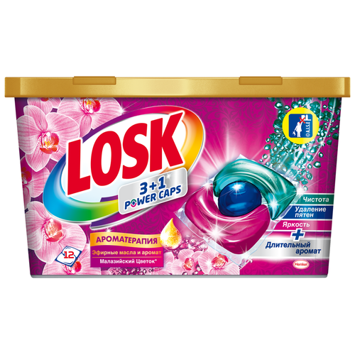    / Losk - -      12  536