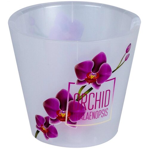    INGREEN London Orchid Deco 1,6 , 160 ,  257