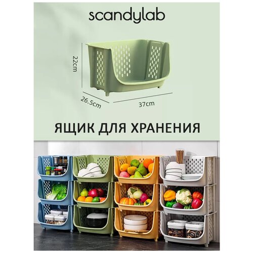       /       Scandylab Sweet Home SSH004 792