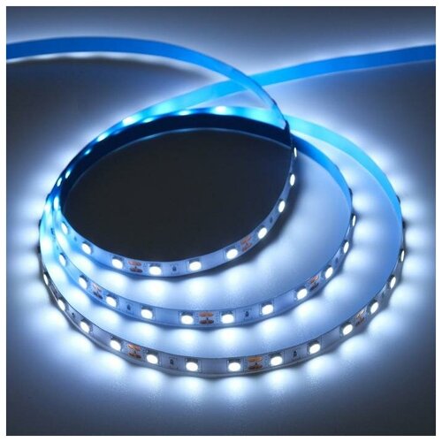   Ecola PRO 5 , IP20, SMD5050, 60 LED/, 14.4 /, 12 , 6000 716